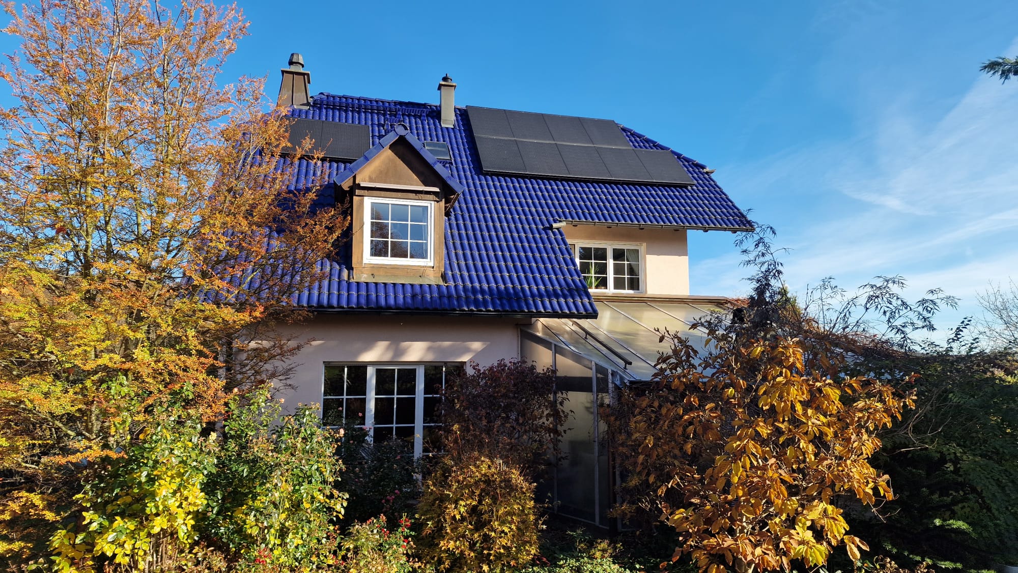 Schimmelgutachten und Feuchteschutz